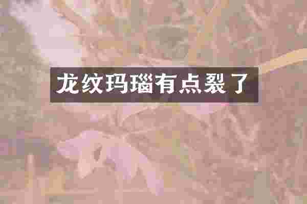 龙纹玛瑙有点裂了