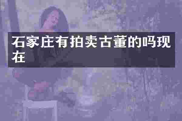石家庄有拍卖古董的吗现在
