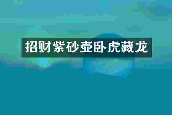 招财紫砂壶卧虎藏龙