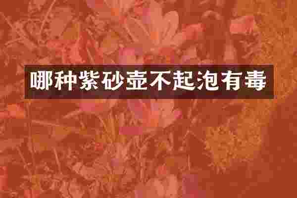 哪种紫砂壶不起泡有毒