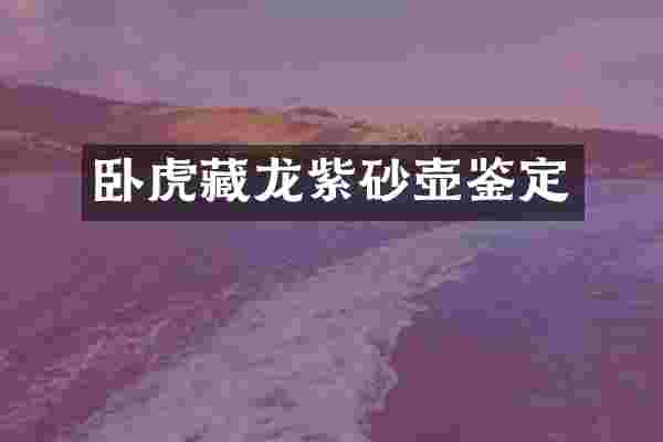 卧虎藏龙紫砂壶鉴定