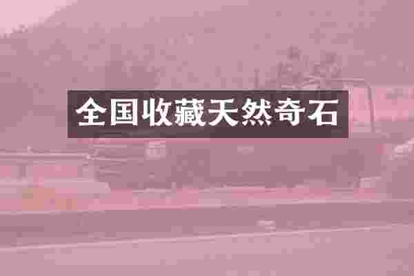 全国收藏天然奇石
