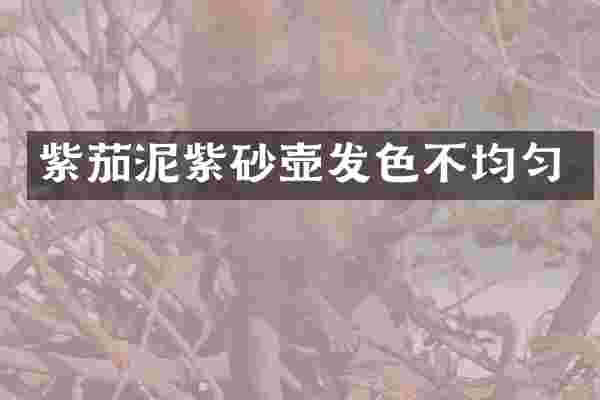 紫茄泥紫砂壶发色不均匀