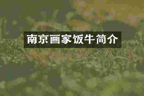 南京画家饭牛简介