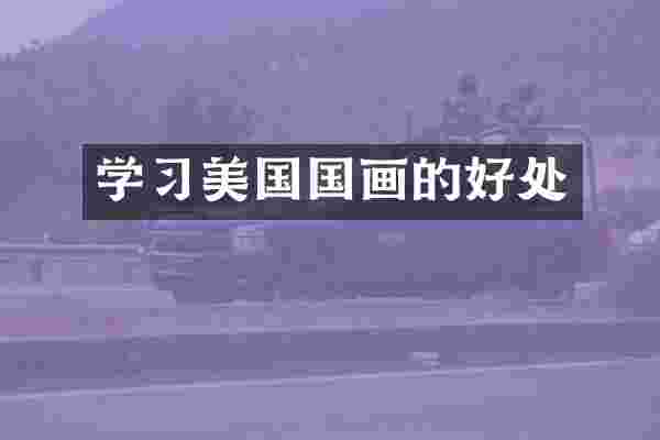 学习美国国画的好处