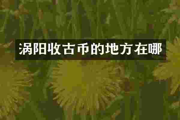 涡阳收古币的地方在哪