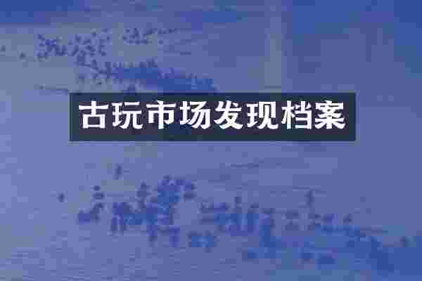 古玩市场发现档案