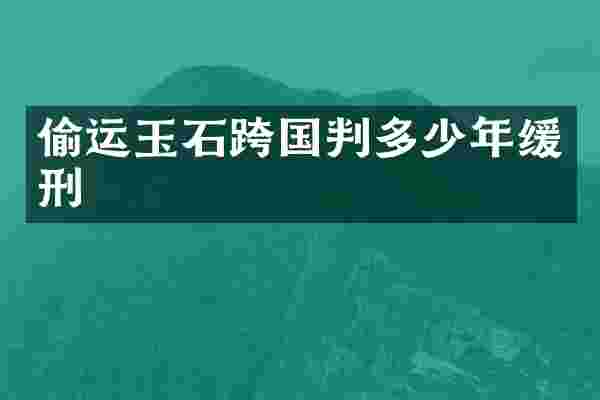 偷运玉石跨国判多少年缓刑