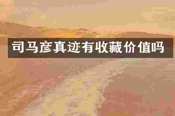 司马彦真迹有收藏价值吗