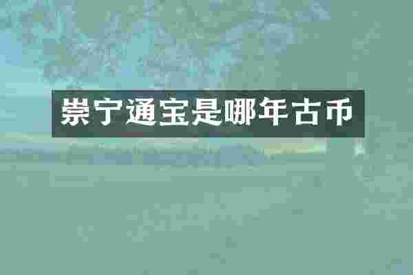 崇宁通宝是哪年古币