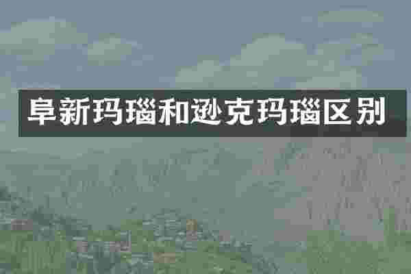 阜新玛瑙和逊克玛瑙区别