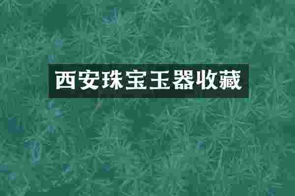 西安珠宝玉器收藏