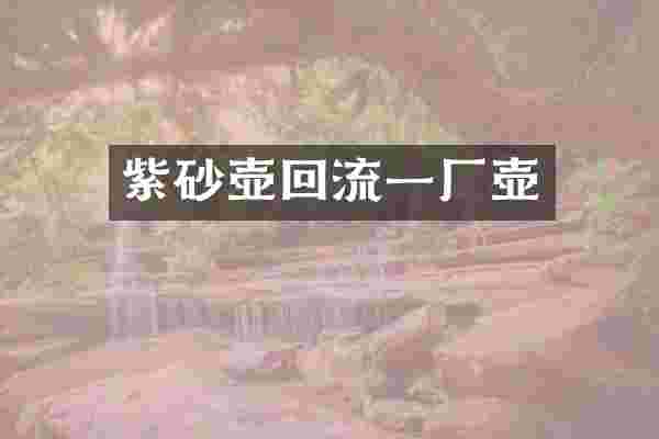 紫砂壶回流一厂壶