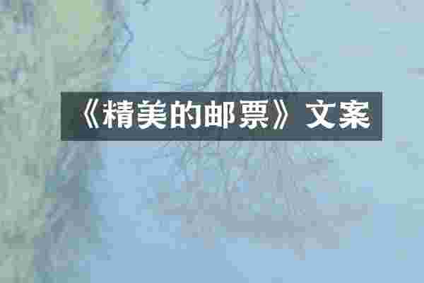《精美的邮票》文案