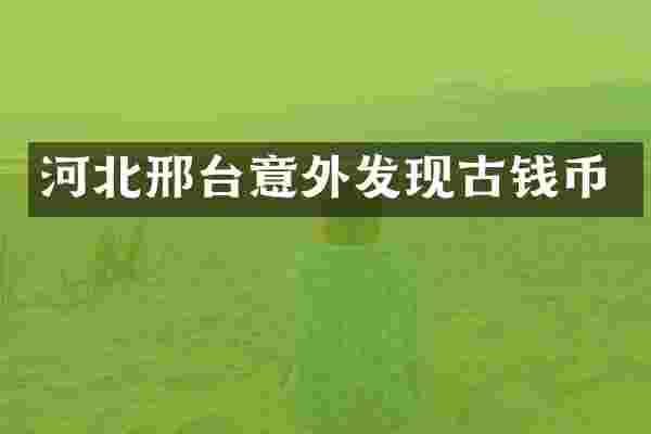 河北邢台意外发现古钱币