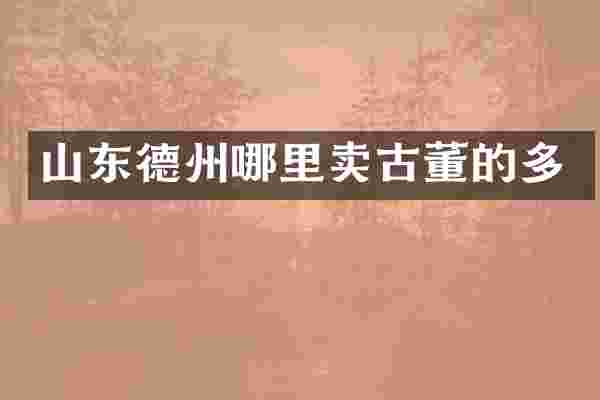 山东德州哪里卖古董的多