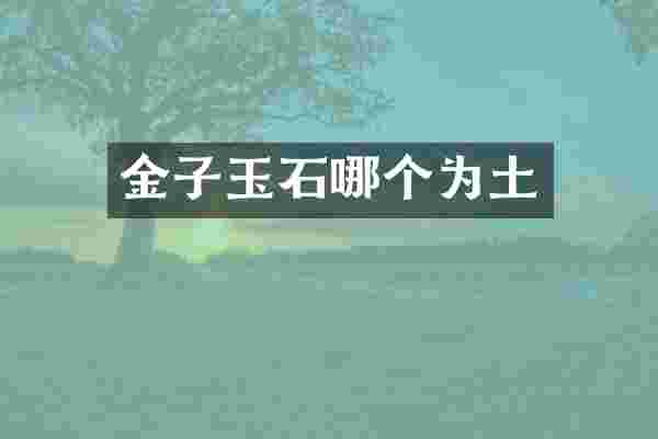 金子玉石哪个为土