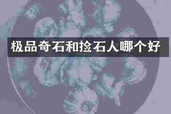 奇石和捡石人哪个好
