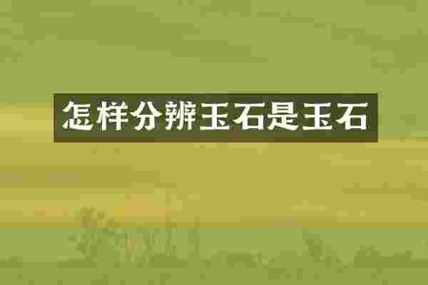 怎样分辨玉石是玉石