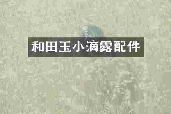 和田玉小滴露配件