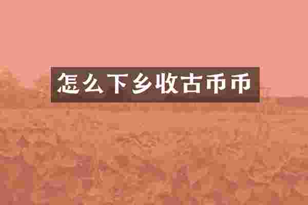 怎么下乡收古币币