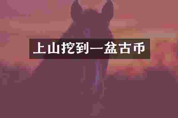 上山挖到一盆古币