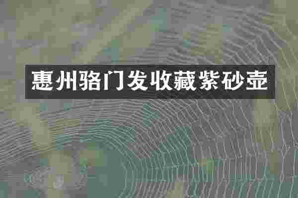 惠州骆门发收藏紫砂壶