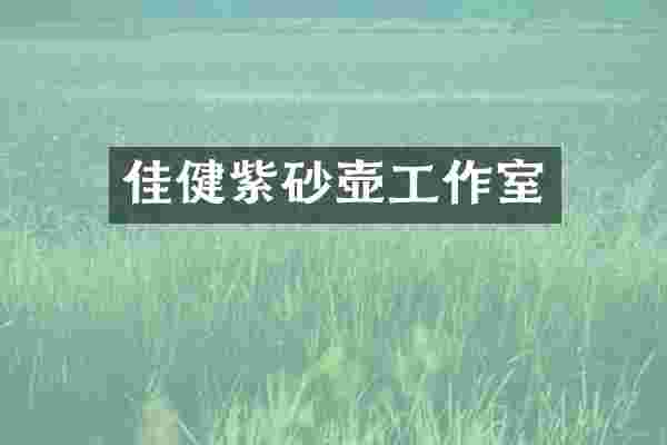 佳健紫砂壶工作室