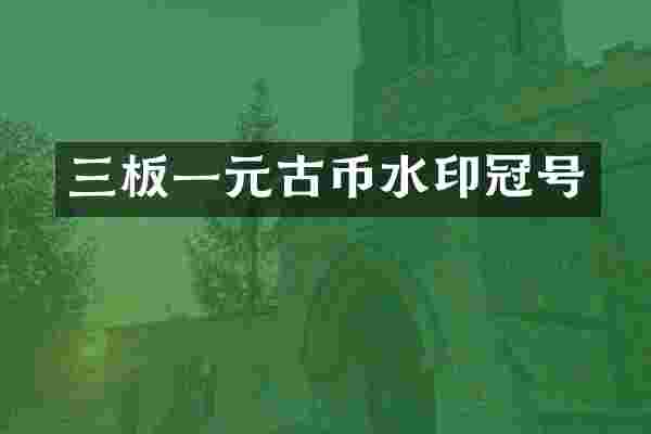 三板一元古币水印冠号