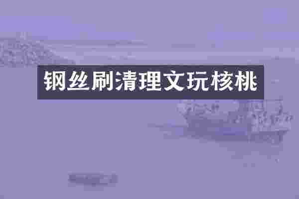 钢丝刷清理文玩核桃