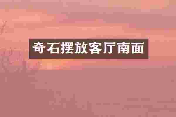 奇石摆放客厅南面