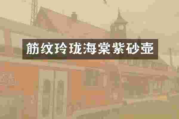 筋纹玲珑海棠紫砂壶