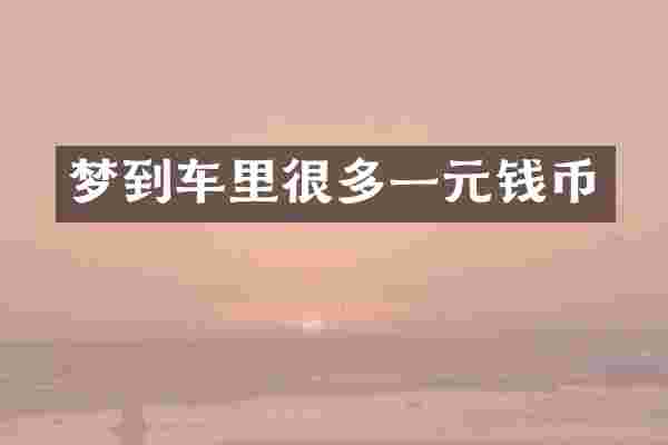 梦到车里很多一元钱币