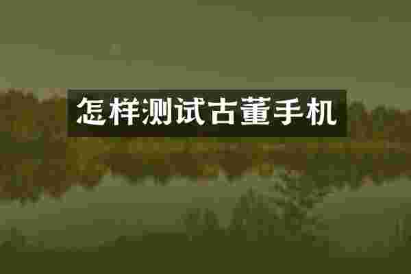 怎样测试古董手机
