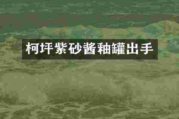柯坪紫砂酱釉罐出手