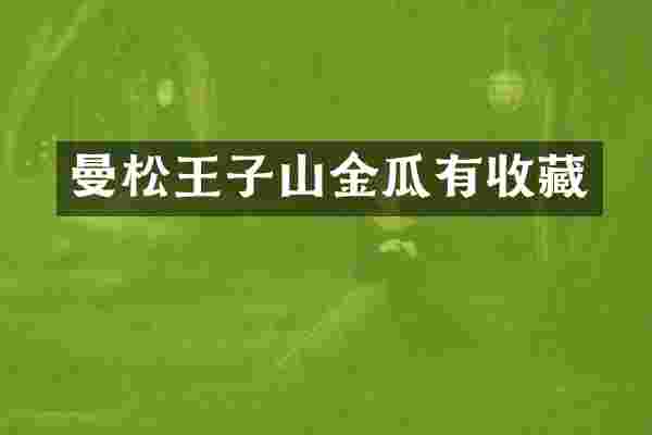 曼松王子山金瓜有收藏