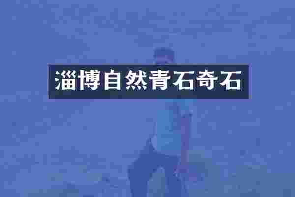 淄博自然青石奇石