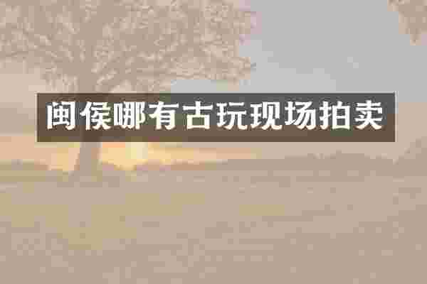 闽侯哪有古玩现场拍卖