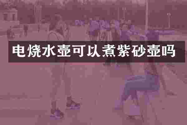 电烧水壶可以煮紫砂壶吗