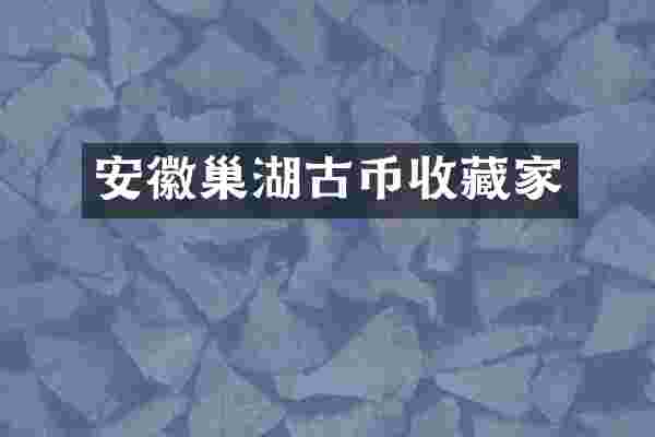 安徽巢湖古币收藏家
