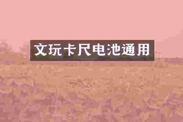 文玩卡尺电池通用