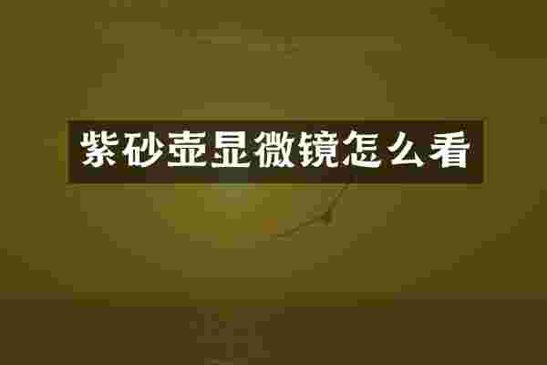 紫砂壶显微镜怎么看