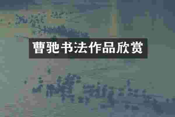 曹驰书法作品欣赏