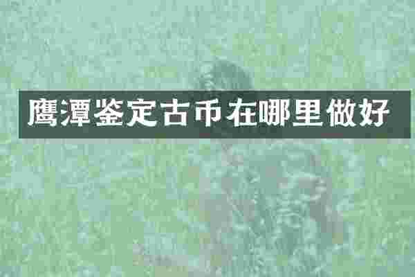 鹰潭鉴定古币在哪里做好