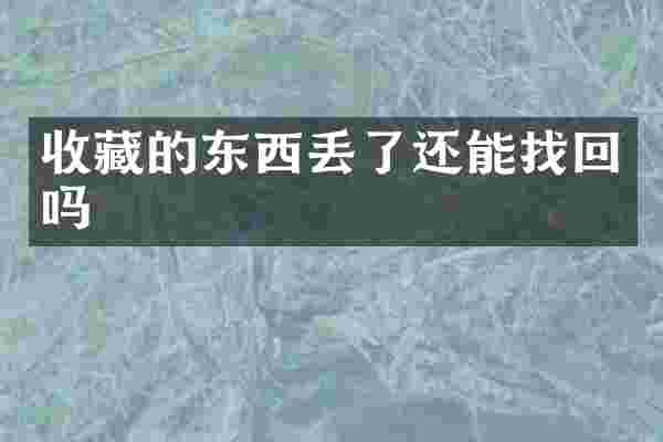 收藏的东西丢了还能找回吗