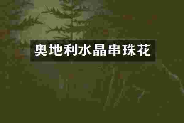 奥地利水晶串珠花