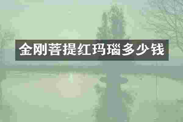 金刚菩提红玛瑙多少钱