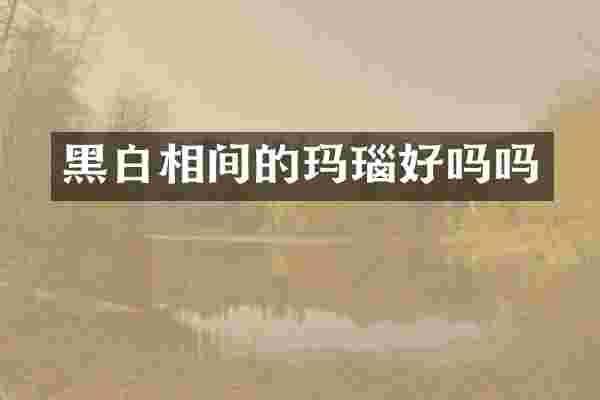 黑白相间的玛瑙好吗吗