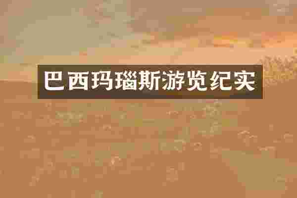 巴西玛瑙斯游览纪实