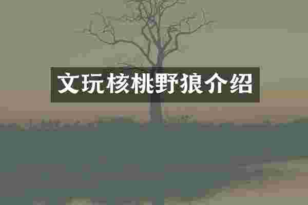 文玩核桃野狼介绍
